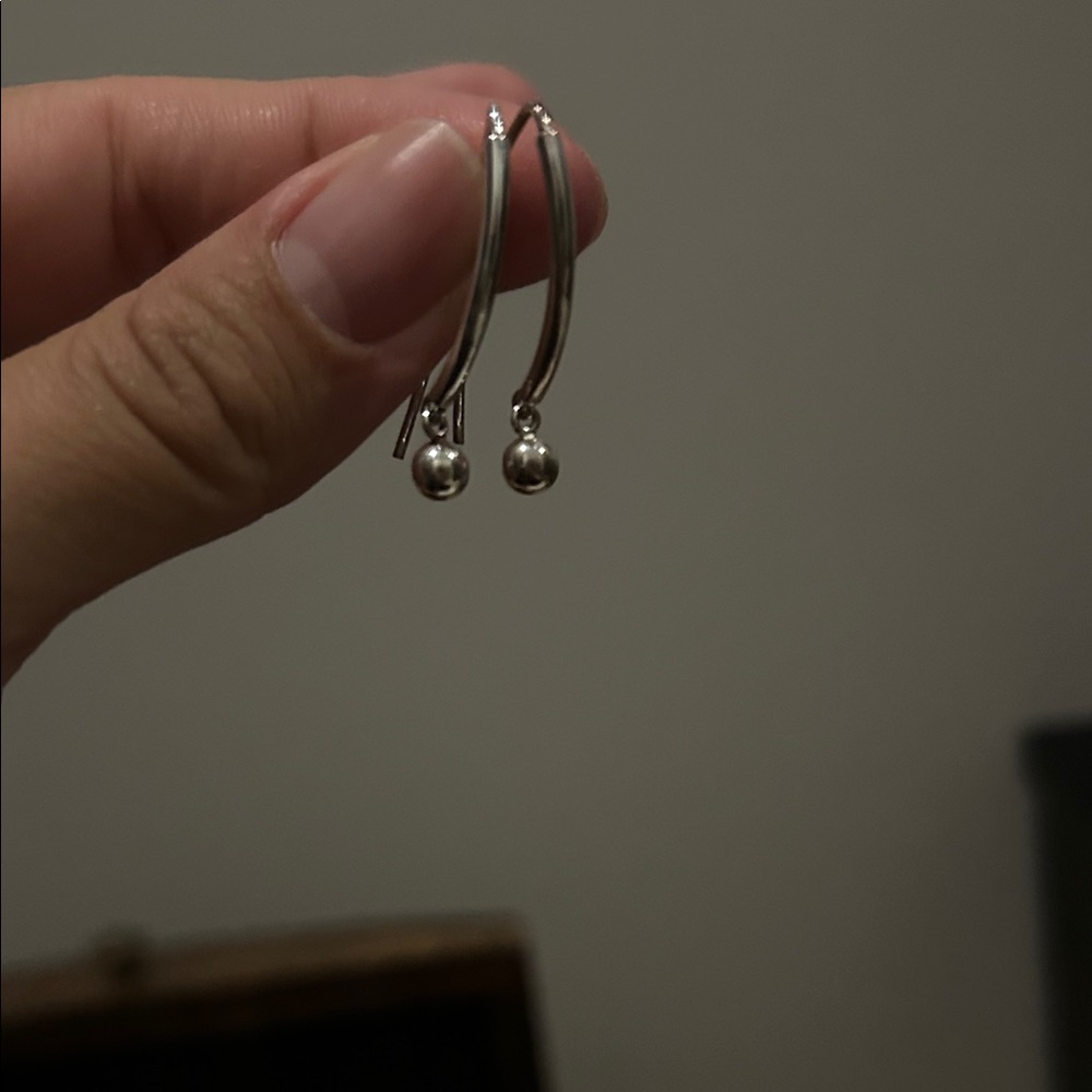 Elegant Silver Earrings